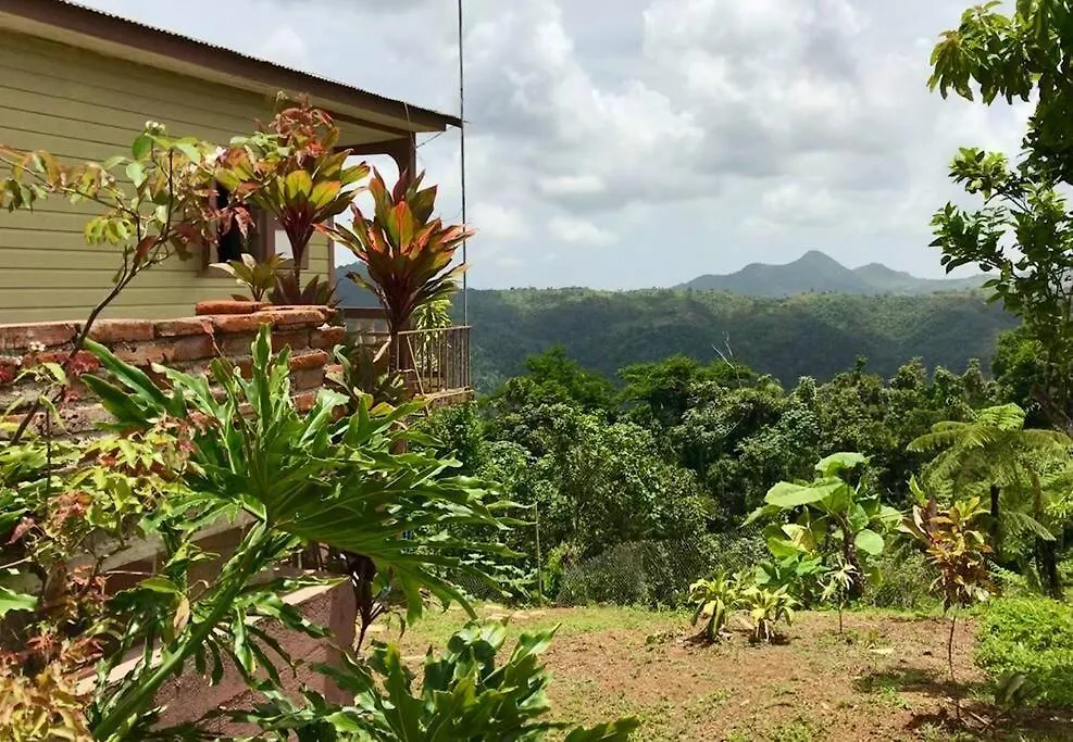 Cabin Mountain View Near Ponce Slepts 8 Holiday home
